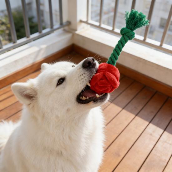 Jouet pour chien en peluche rose avec couineur, jouet à mâcher interactif pour petits et moyens chiens, peluche douce en forme de fleur.