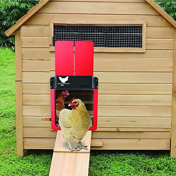 Porta Automatica per Pollaio Alimentata a Energia Solare