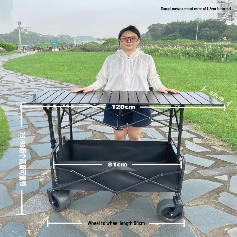 Portable Outdoor Cart with Sunshade & Lifting Table