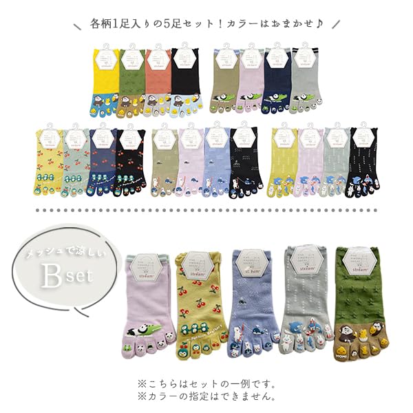 Stream Market Women's Five-Toe Socks, Cute Sneaker Socks, Animal and Character Designs, Bulk Purchase, 5F-SNAS-B