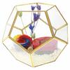 Nordic Geometric Glass Preserved Flower Decor for Home, Coffee Shop, or Wedding