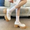 2029 French Round Head Platform Small Leather Shoes Women's 2025 New Spring and Autumn with Skirt Retro Mary Jane Thick Heel Single Shoes
