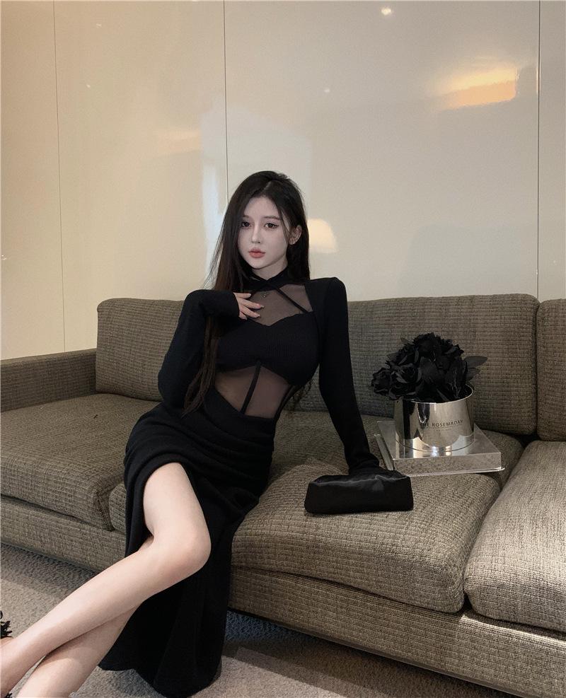 Spring Mesh Splice Long Sleeve Dress - Sexy Hip-Length Slit Skirt