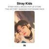 Stray Kids x SKZOO POP-UP STORE 'THE VICTORY' RANDOM PHOTOCARD PACK Official Photocard
