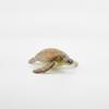 Sea Turtle Model Realistic Figure Textured Toy for Collectors, Kids, Desk Decor,