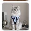 Pet Dog Formal Suit Set With Tie Vest Shirt Top Casual Cotton Outfit Small To Large Breeds