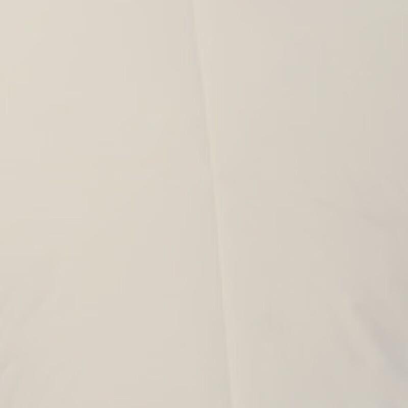 FUANNA Zhenyi Australian Wool Quilt