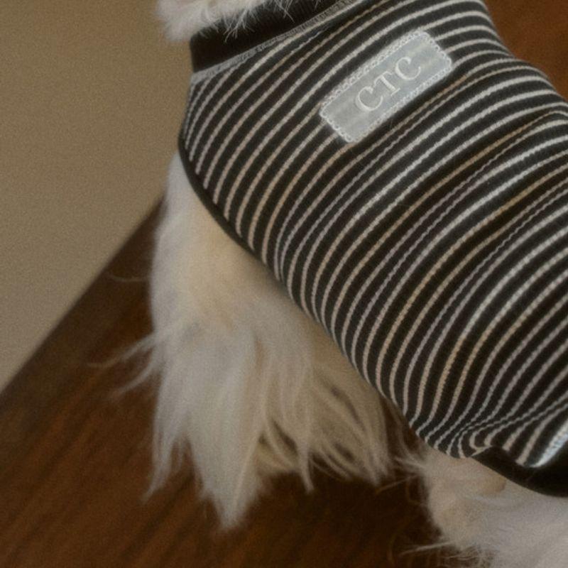 T-shirt rayé Union CROOKTHECHIHUAHUA (2color)