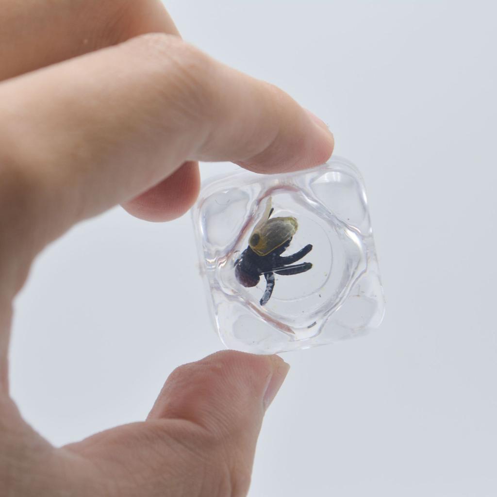 Trick Toys, Simulated Ice Cubes, Insects, Flies, Pranks, April Fool'S Day Prank Toys