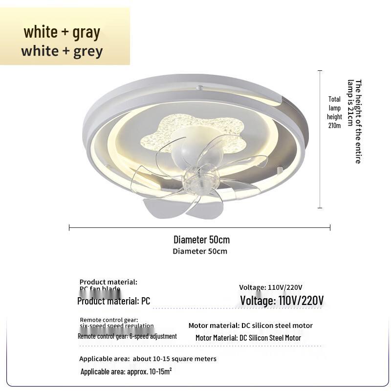 Ceiling Fan with Light