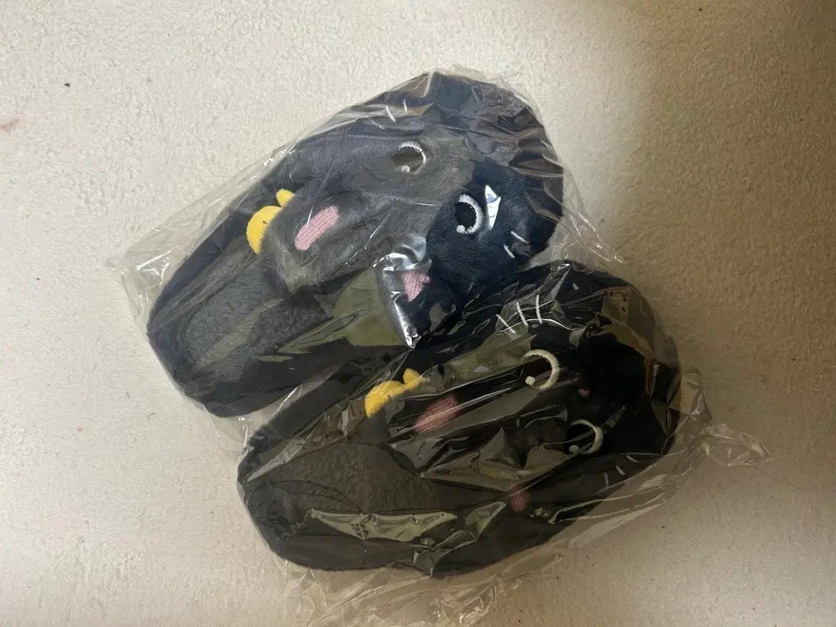 

RIIZE Won Bin Thonak Dog Slippers