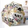 Accesorii – Umbrele