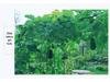 Rust-Proof Arch Trellis: Reinforced Climbing Vine Stand for Indoor/Outdoor Gardens and Courtyards.