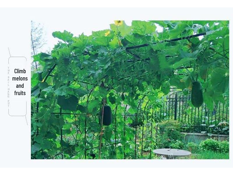 Rust-Proof Arch Trellis: Reinforced Climbing Vine Stand for Indoor/Outdoor Gardens and Courtyards.
