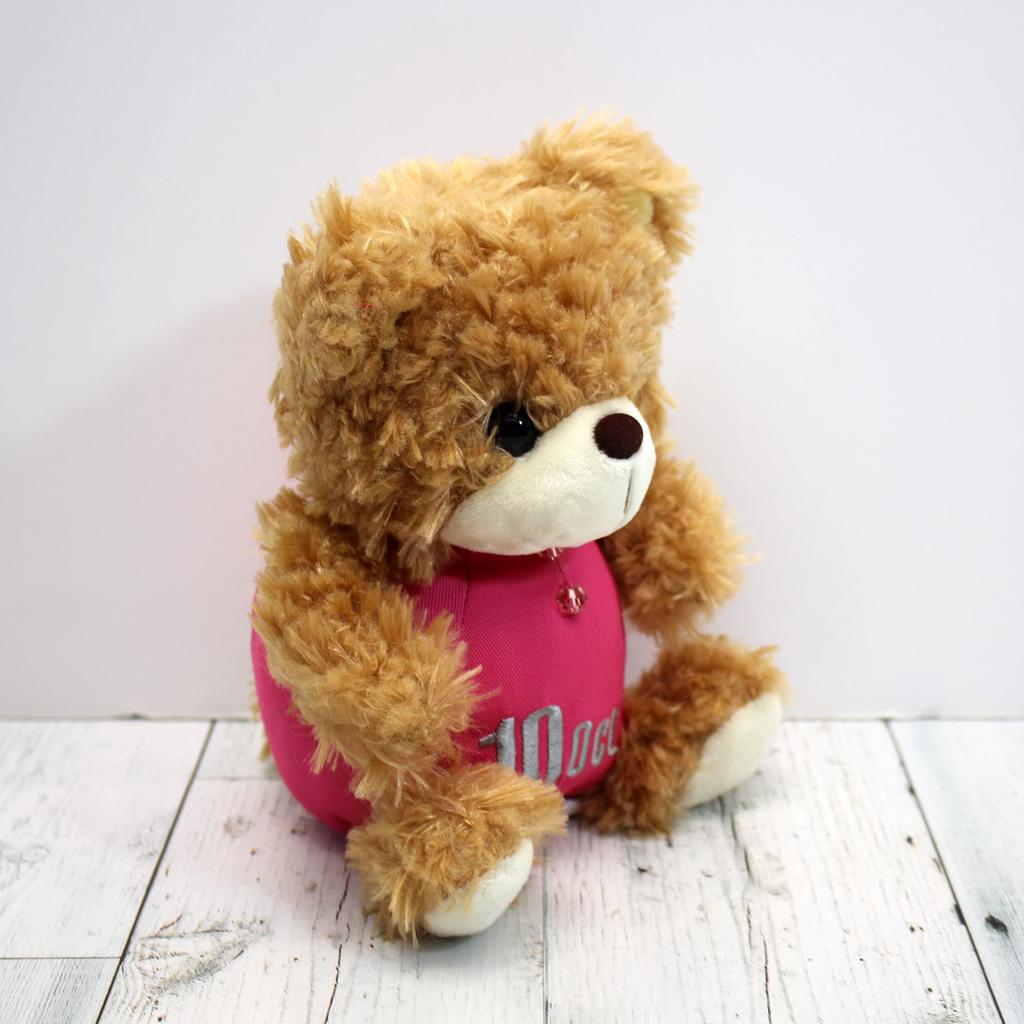 Takeoff Plush Toy October Brown BEAR'S365