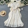 Elegant lace embroidered dress women's summer high waist A-shaped skirt commuter temperament long dress banquet long dress
