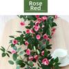 Plastic Silk Artificial Rose Vine 4 Colors Wall Decor Rattan  Home Decoration