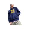 Nike SB Fleece Pullover Hooded Printed Sports Casual Sweatshirt Men Sweatshirt Dark-Blue CZ3539-451