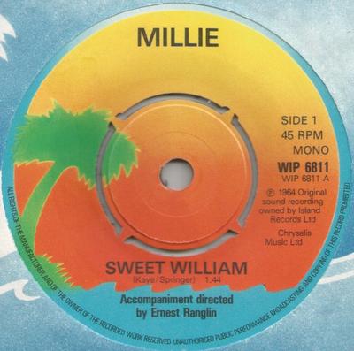 Hobi & Yaratıcılık – Müzik