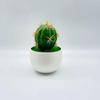 Artificial Cactus Simulated Green Plants Desktop Potted Indoor Decoration