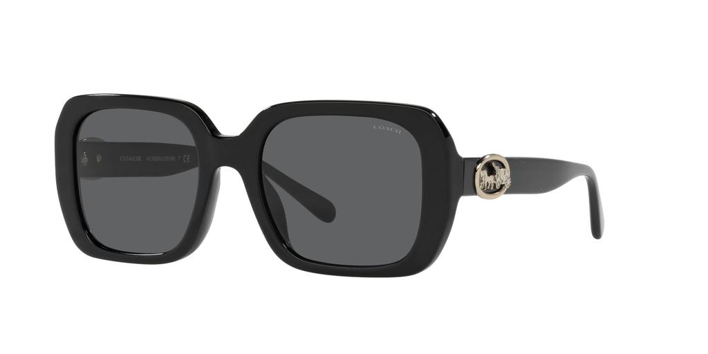 Coach HC8329U BLACK 53 Women's Sunglasses,