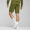 Puma RAD/CAL 9 DK Men's Shorts Green 67891833 R XL