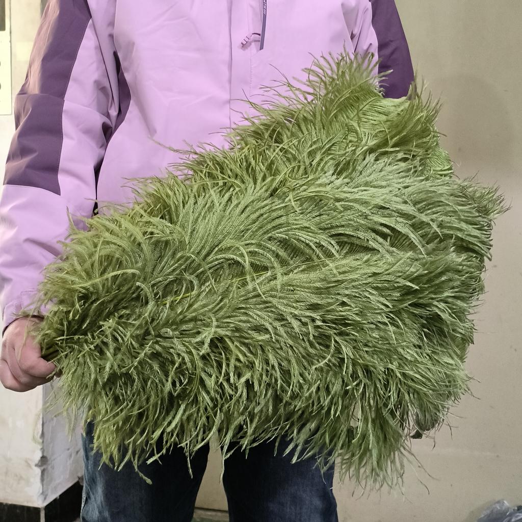 10 STÜCKE Natürliche Blaue Straußenfedern Bulk 15-60CM für Karneval Hochzeitsparty Restaurant Tafelaufsatz Dekoration Federn DIY Basteln