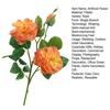 Artificial Rose with Green Leaves 3 Head Realistic Long Stem Fake Flower Home Wedding Party Faux Flower Decoration Valentine's Day Gift