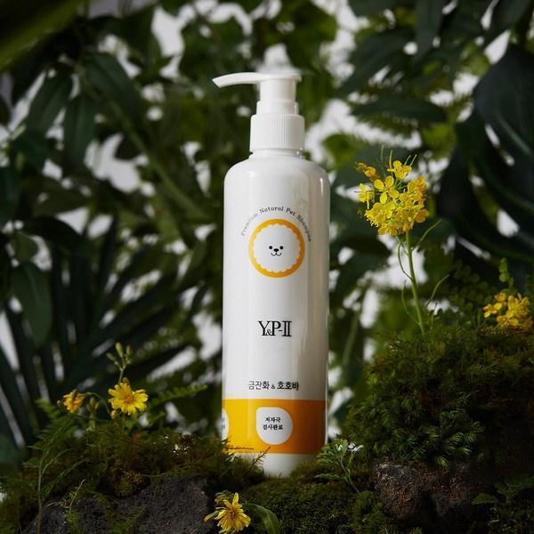 Dog Skin Disease Foot Wash Hypoallergenic Fishy Smell Antioxidant Scent 1+1 Korean Pet Shampoo