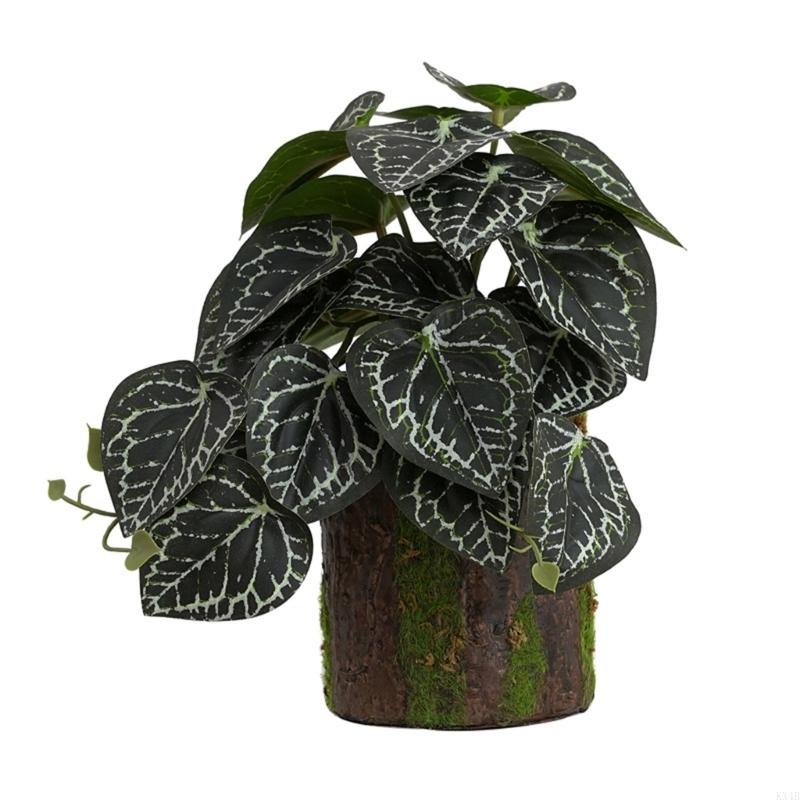 KX4B Dekoracja Akwarium Roślina Terrarium Rośliny Dekoracyjne do Zbiornika Rybnego dla Siedliska Płazów Jaszczurek