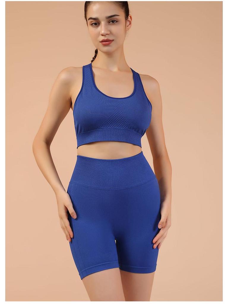 Shorts de Yoga Sans Coutures Taille Haute Ventre Plat