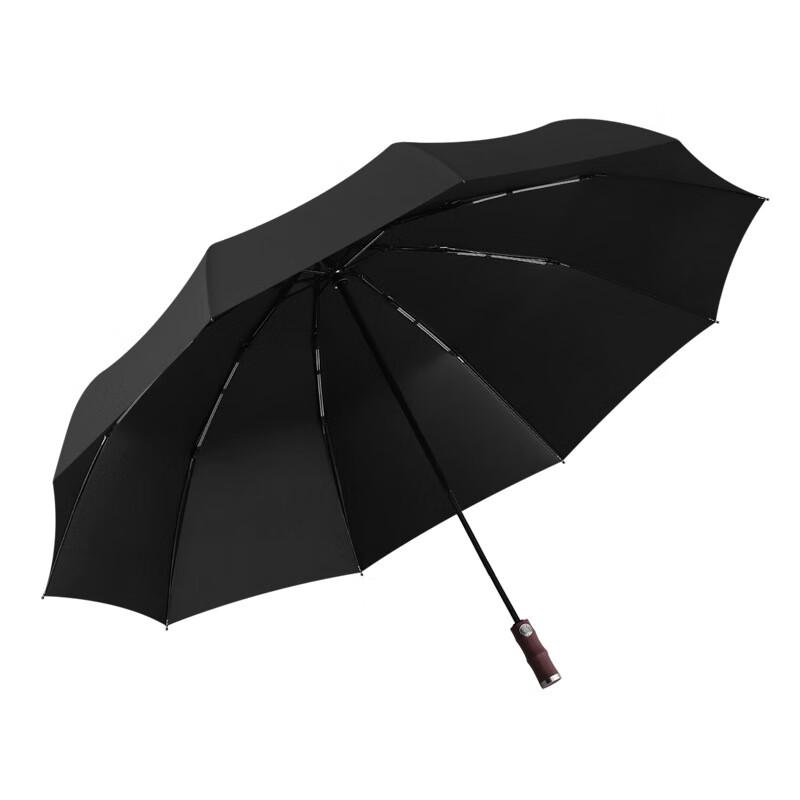 Puluo 10-Rib Fully Automatic Folding Umbrella