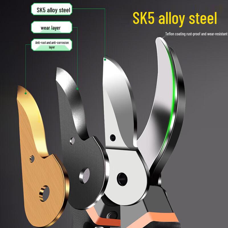 Professional Garden Pruning Shears