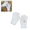 Accessori – Guanti, mezzi guanti e muffole