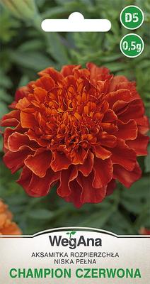 Tagetes Rozpierzchła Champion rojo semillas de caléndula 1g -