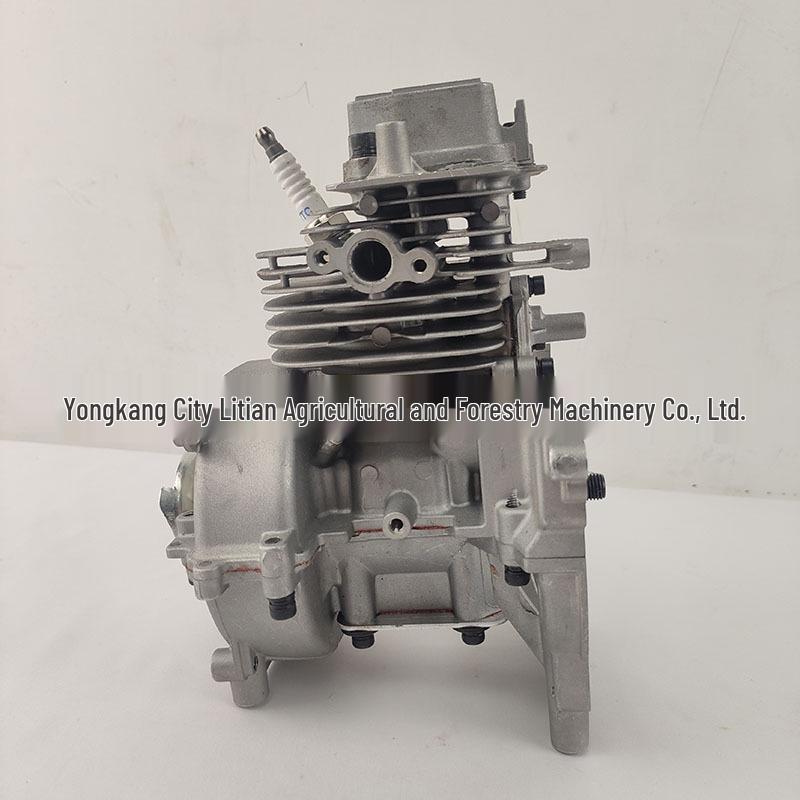 139F Four-Stroke Engine Assembly: Crankcase, Cylinder, Piston Ring, Crankshaft, Valve - Lawnmower Power Accessories