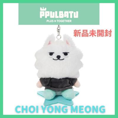 [GEBRAUCHT] TXT PPULBATU Soobin * Youngmon * Plüsch Schlüsselanhänger