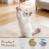Kedi – Kedi Oyuncakları