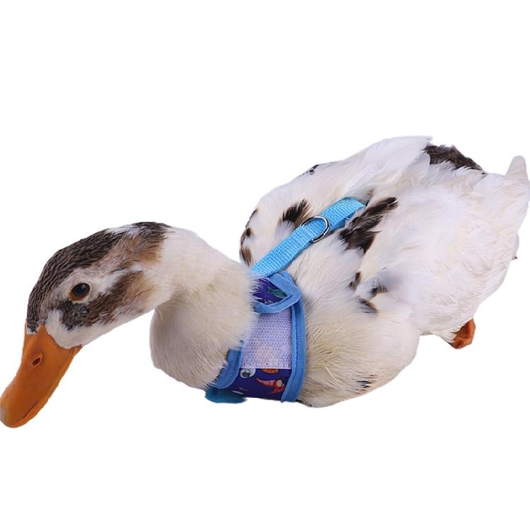 Rabbit Harness and Leash Small Animal Clothes for Rabbit Duck Small Animal