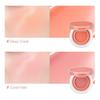 JUNGSAEMMOOL Artist Cushion Blush 4g