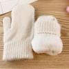 1 Pair Double-layer Rabbit Hair Gloves Female Winter Korean Version of Solid Color All Fingers Winter Women Gloves Girls Mittens