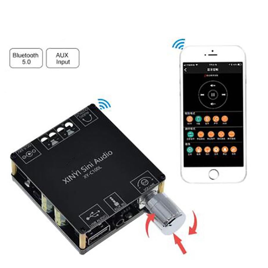 1x HiFi Bluetooth 5.0 Power Digital Amplifier Board 100W*2 Mini Stereo Audio Amp