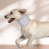 Hunde – Hundepflege-Artikel