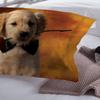 Bed Linen 3D Rose Dachshund Bedclothes For Girl Boy Soft Duvet Cover Sets Twin Beding Set Dekbedovertrek 240/20 Dachshund Bed Linen Set