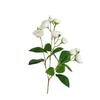 with Stems Artificial Roses Flower Silk Flower Wedding Flowers Fake Flower Bouquet  Table Patio