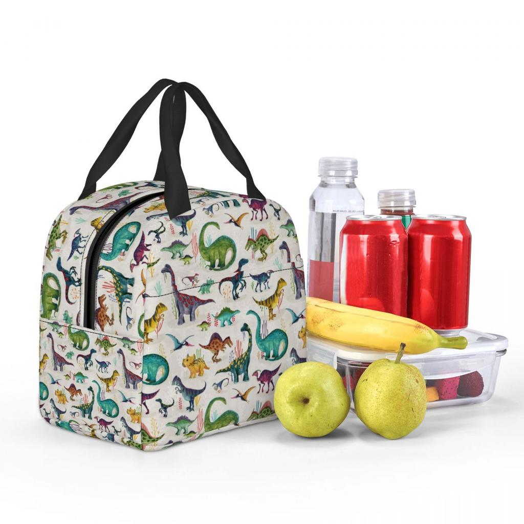 Bright Dinosaurs Insulated Lunch Bag for Women Office Cooler Thermal Food Box Tote Leakproof Lunch Boxes Container