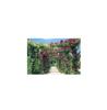 1500 maza izmēra puzles meistars Sweet Rose Arch (50x75 cm)