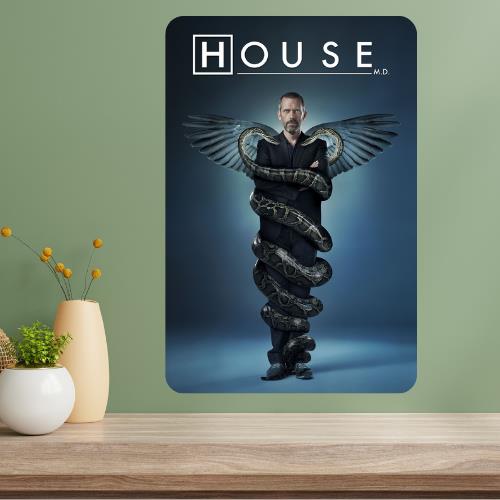 House Metal TV Show Poster Sign 20x30cm（7.8x11.8inch）