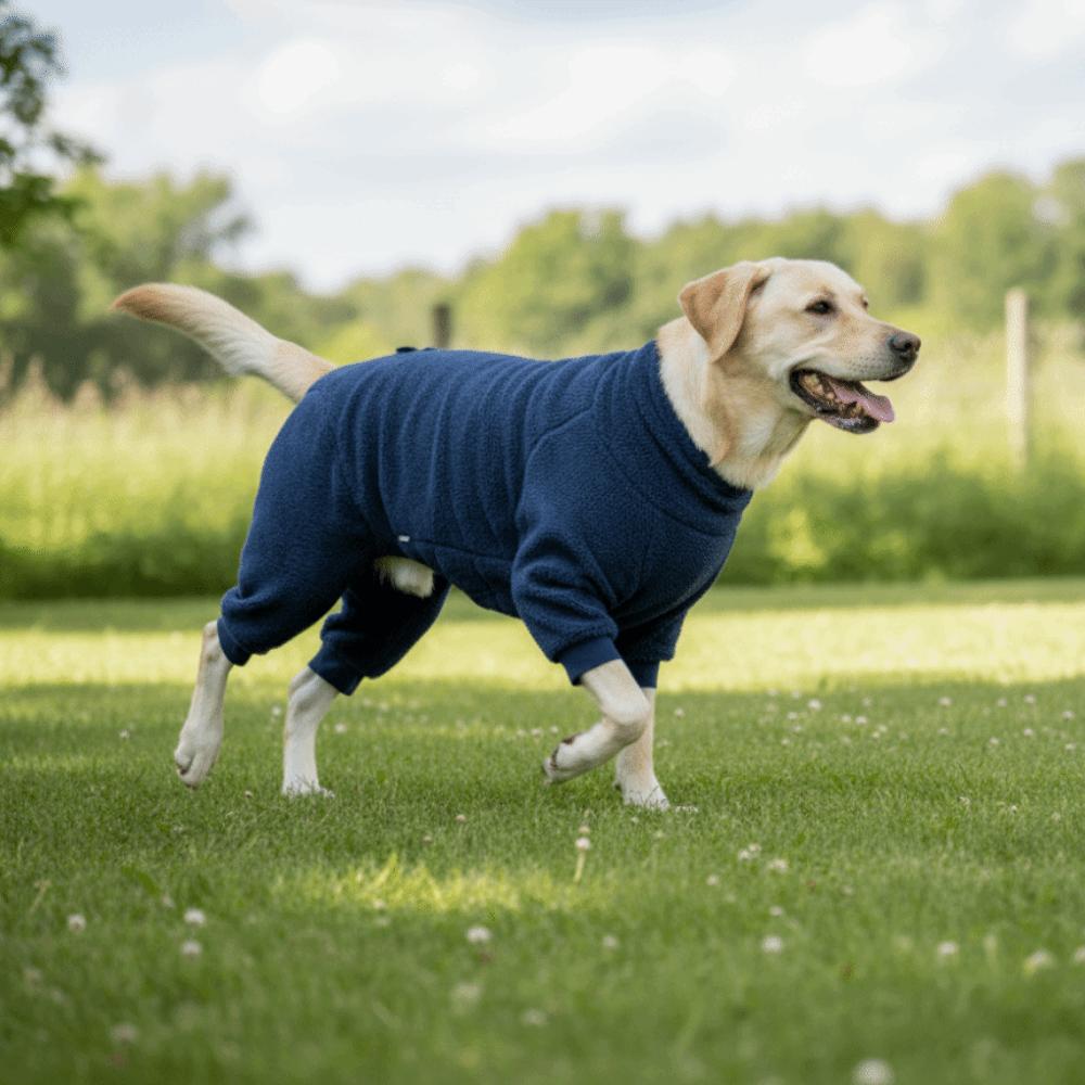 Thickened Winter Dog Jumpsuit Fullbody Dog Pullover Practical Four Legged Dog Clothing  Puppy