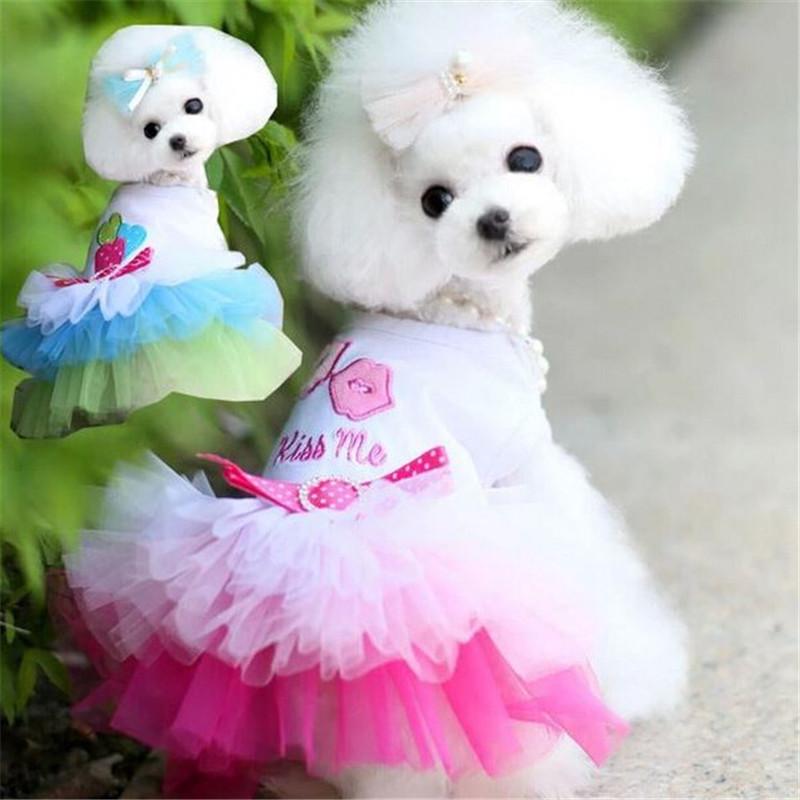 Buy Dog Clothes Pet Skirts Small Dog Dress Sweety Princess Dress Spring  Small Dog Lace Clothes at affordable prices  free shipping, real reviews  with photos  Joom